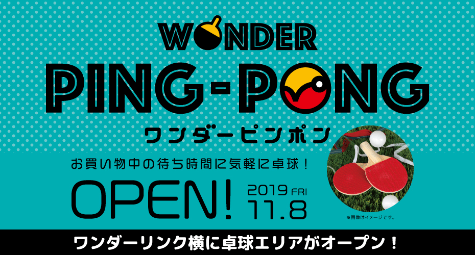 ワンダーピンポン OPEN!
